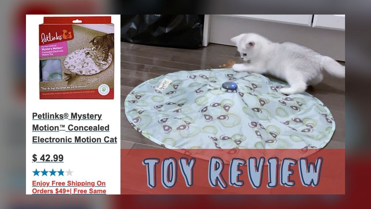 Top 10 Interactive Cat Laser Toys for High-Energy Indoor Kittens in 2027 — figure 8