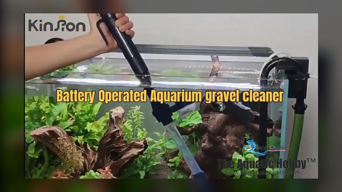Top 10 steps to change aquarium water for a planted tank in 2027 — figure 2