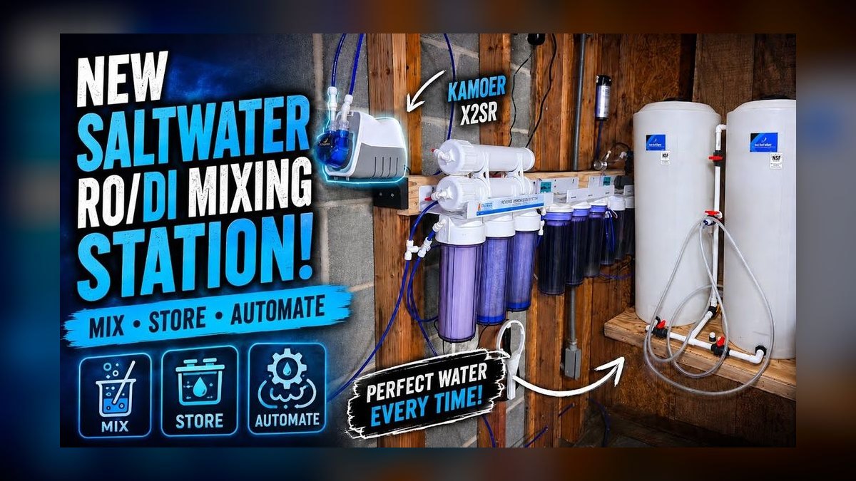 Top 10 step-by-step aquarium water change procedures in 2027 — figure 10