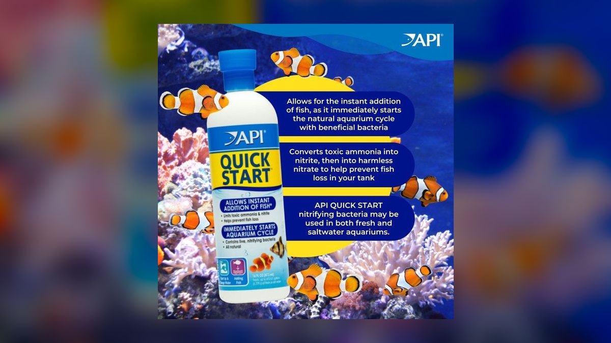 Top 10 Concrete Steps to Cycle a New Aquarium with Tap Water in 2027 — figure 4