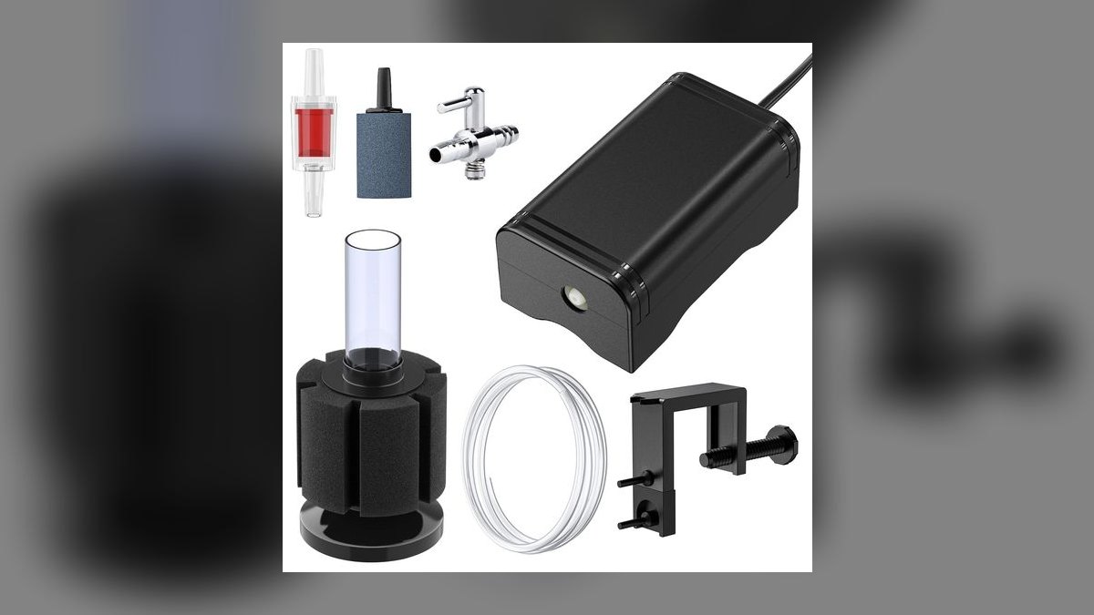 Top 10 Concrete Steps to Cycle a New Aquarium with Tap Water in 2027 — figure 7