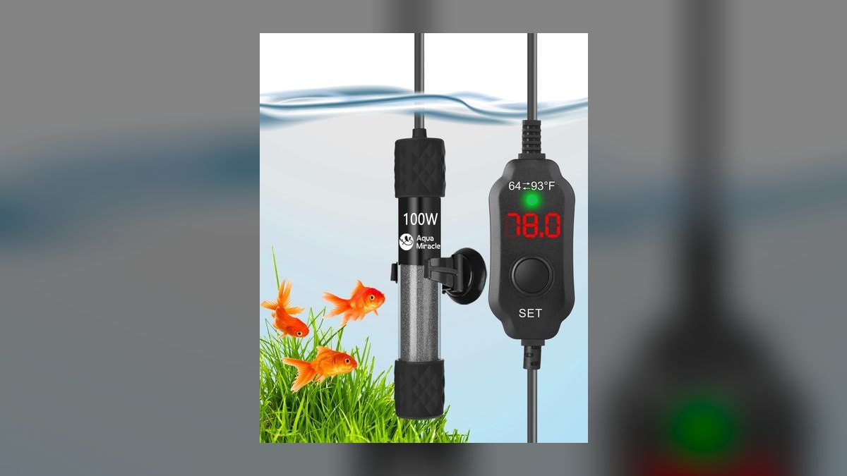 Top 10 Concrete Steps to Cycle a New Aquarium with Tap Water in 2027 — figure 8