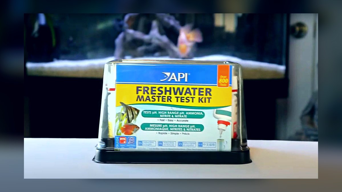 Top 10 concrete steps to cycle a new aquarium with fish food in 2027