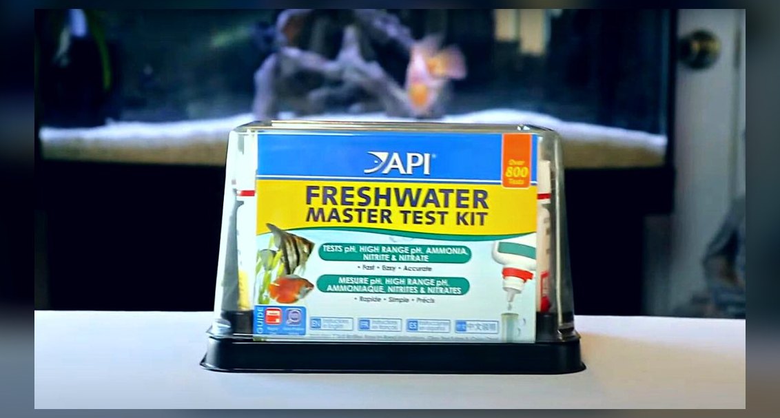 Top 10 concrete steps to cycle a new aquarium with fish food in 2027