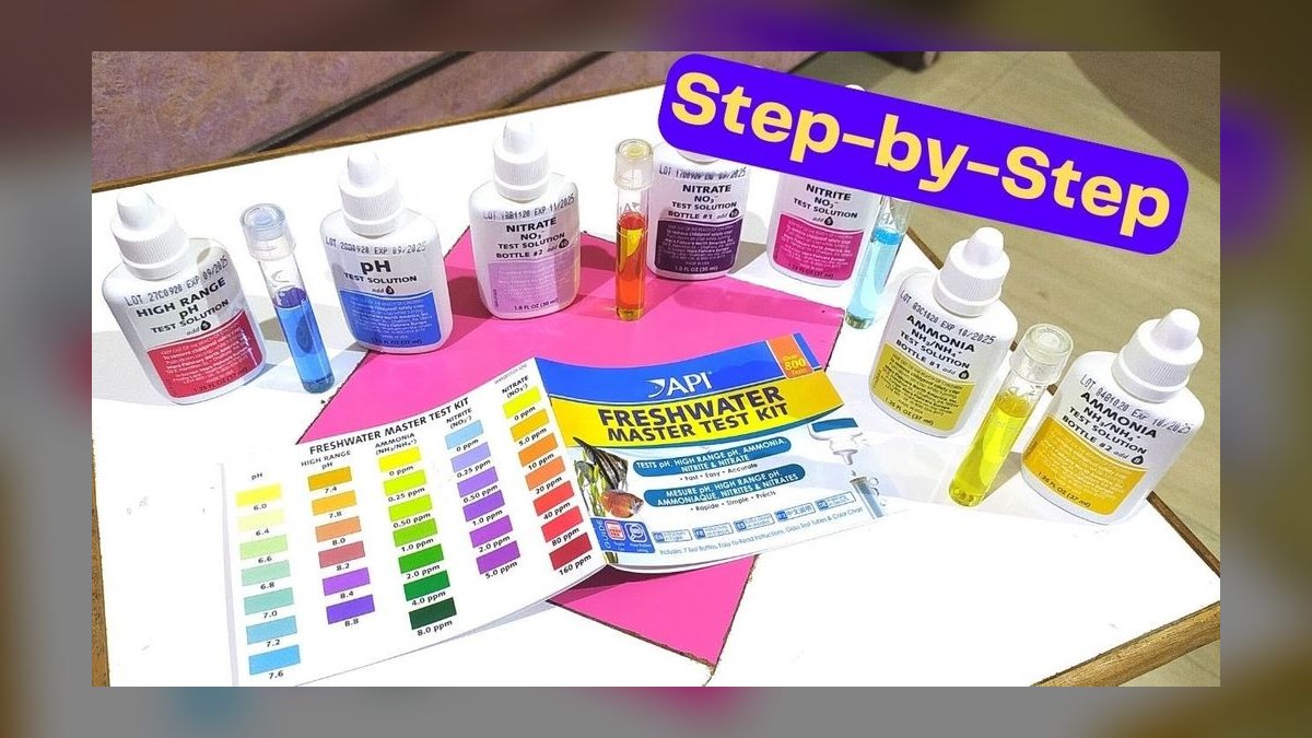 Top 10 Step-by-Step Guide to Changing Aquarium Water for Beginners in 2027 — figure 1