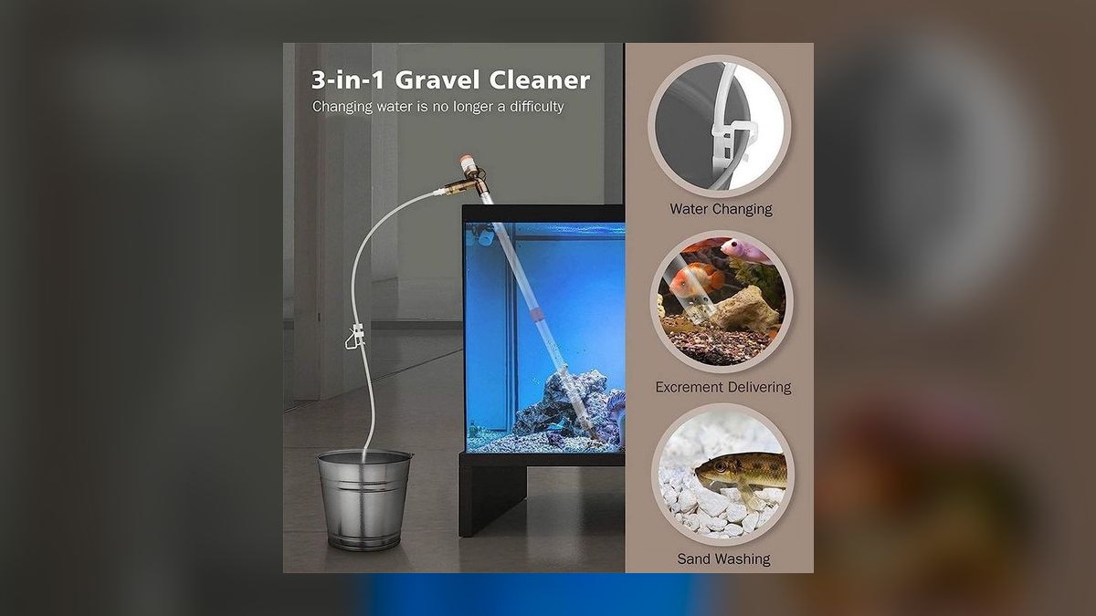 Top 10 Step-by-Step Guide to Changing Aquarium Water for Beginners in 2027 — figure 4
