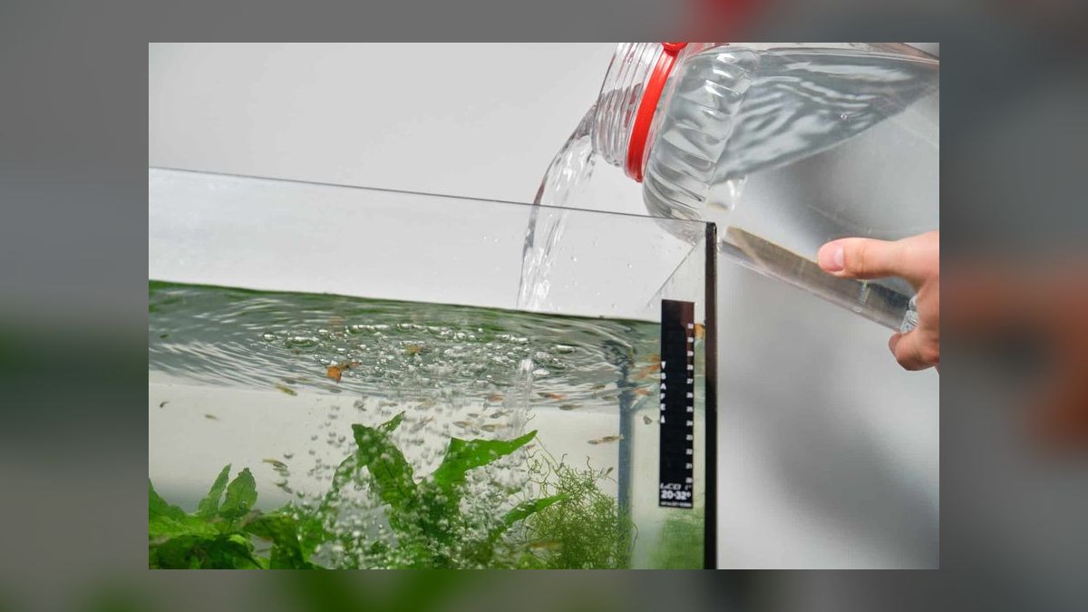 Top 10 Aquarium Water Change Amounts by Tank Size in 2027 — figure 2