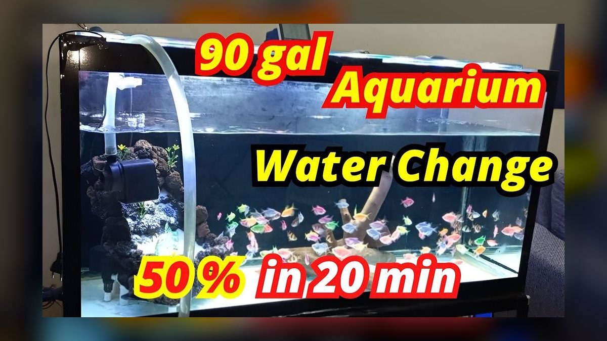 Top 10 Aquarium Water Change Amounts by Tank Size in 2027 — figure 3