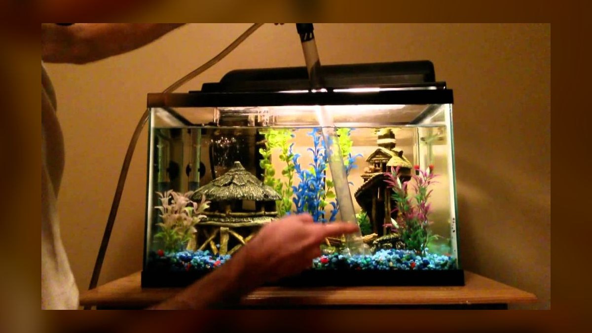Top 10 Aquarium Water Change Amounts by Tank Size in 2027 — figure 6