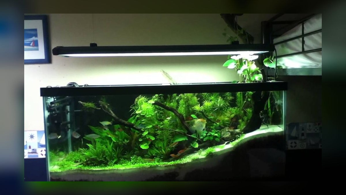 Top 10 Aquarium Water Change Amounts by Tank Size in 2027 — figure 7