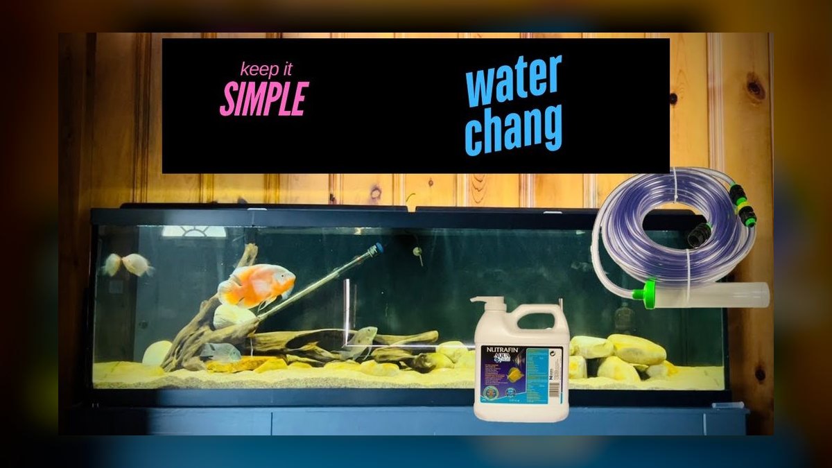 Top 10 Aquarium Water Change Amounts by Tank Size in 2027 — figure 9
