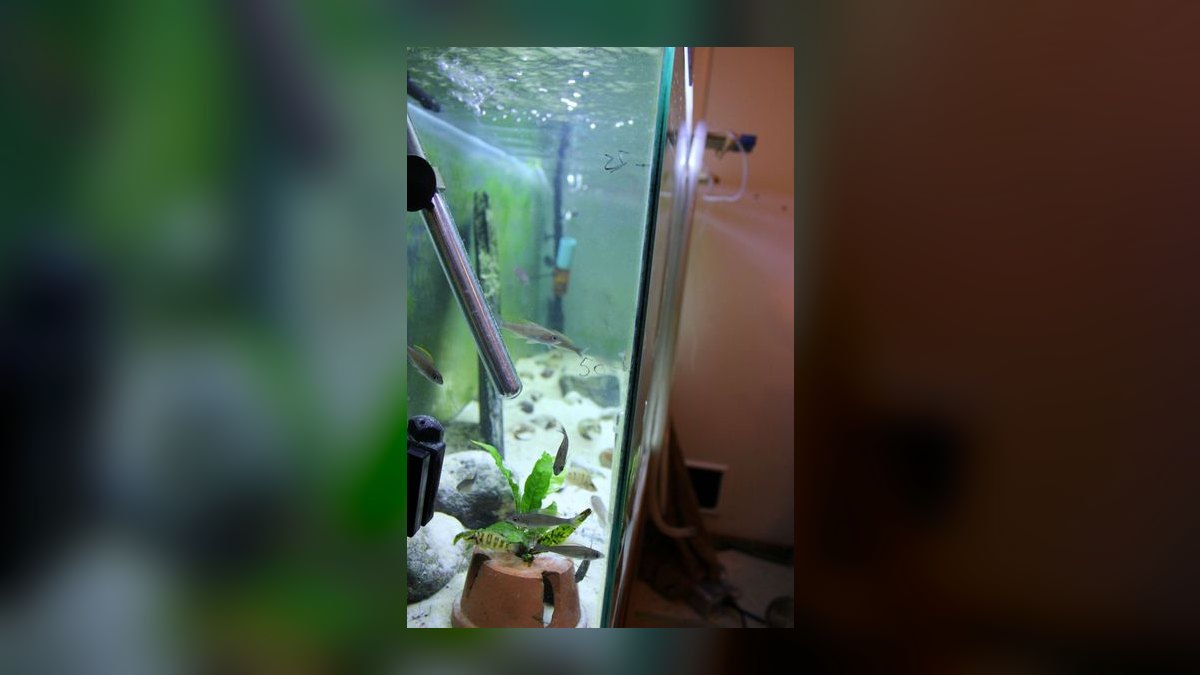 Top 10 Aquarium Water Change Amounts by Tank Size in 2027