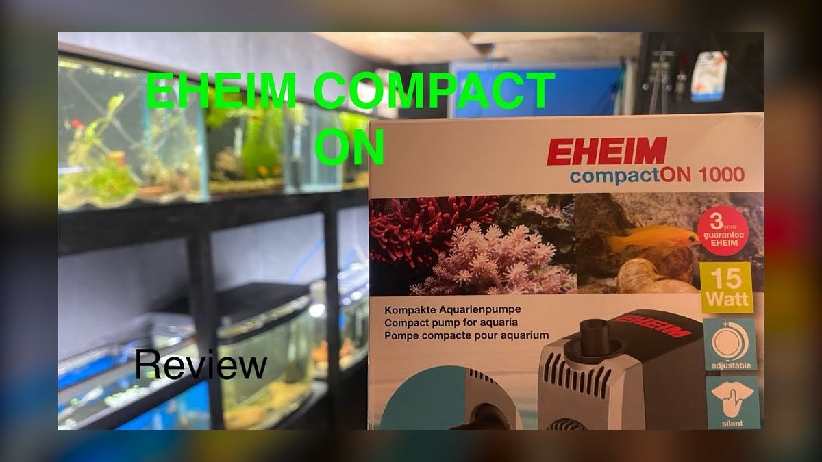 Top 10 aquarium water change frequency guidelines in 2027 — figure 10