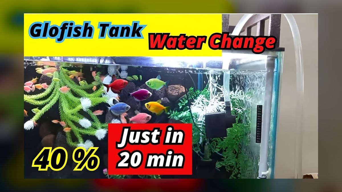 Top 10 aquarium water change frequency guidelines in 2027 — figure 8