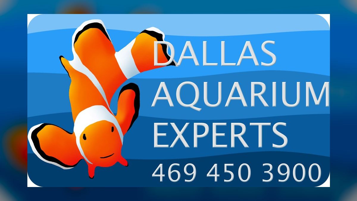 Top 10 aquarium water change frequency guidelines in 2027