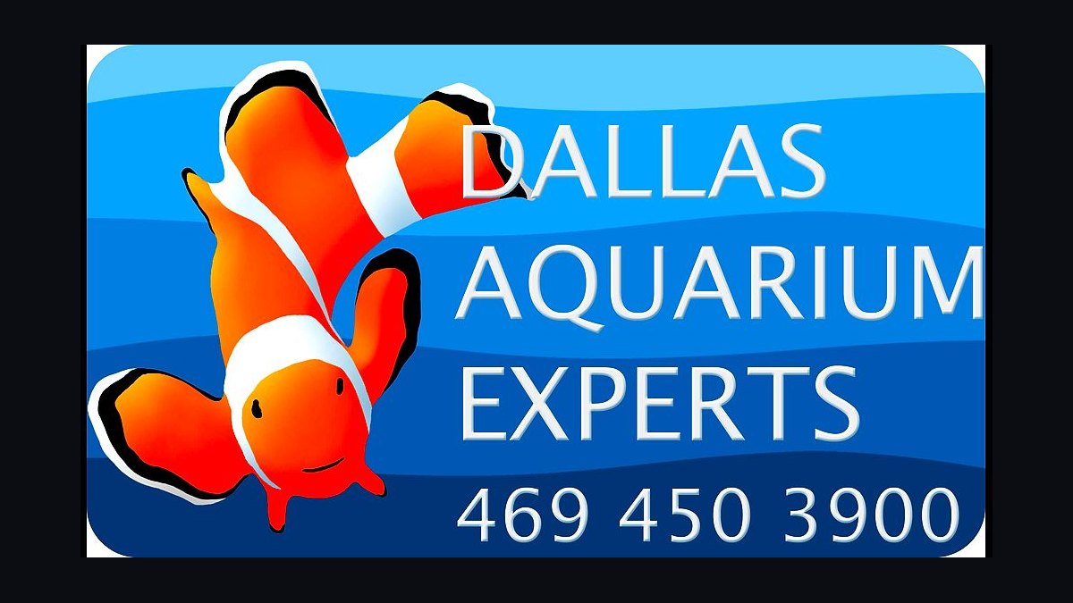Top 10 aquarium water change frequency guidelines in 2027