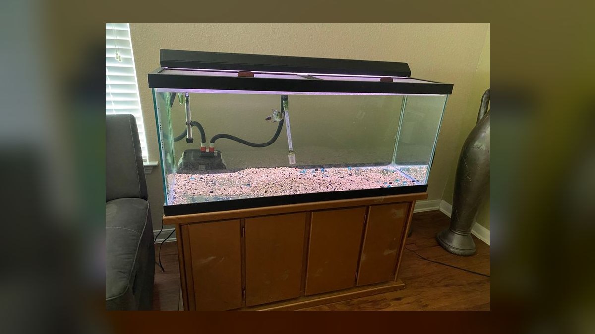 Top 10 Gallons of Water Needed for a 75-Gallon Tank in 2027 — figure 1
