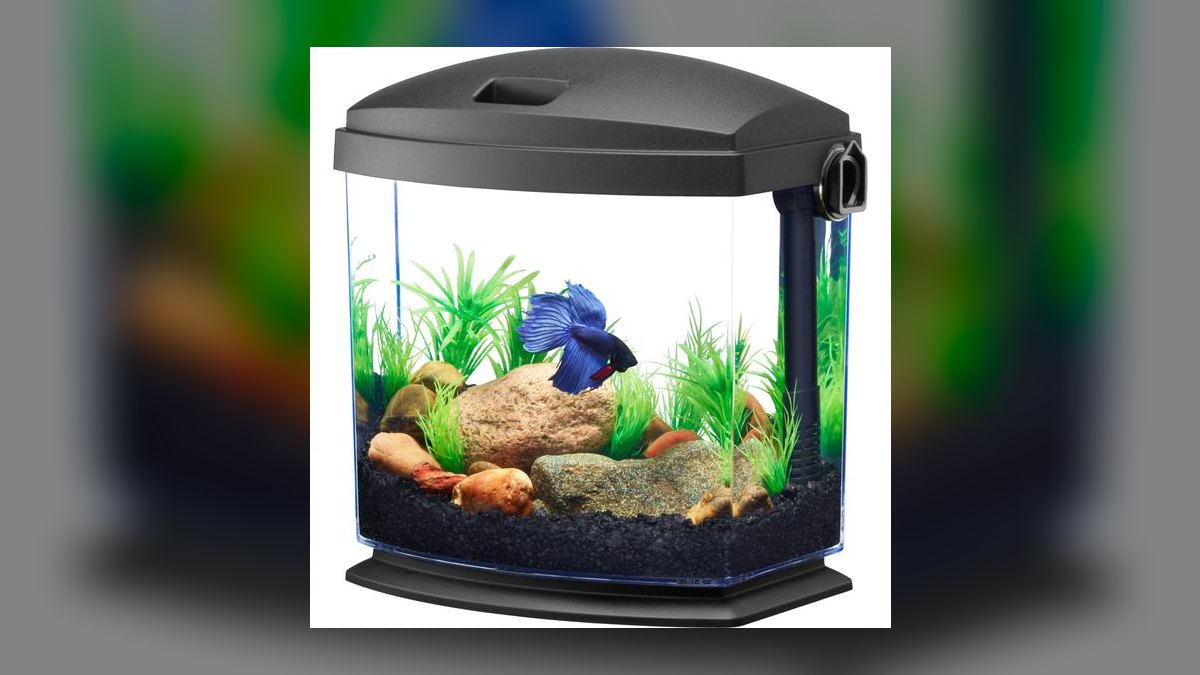 Top 10 Gallons of Water Per Fish in 2027 — figure 2