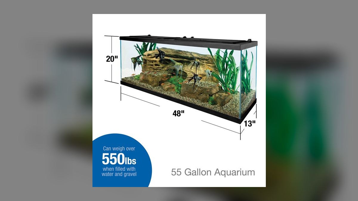 Top 10 Gallons of Water Per Fish in 2027 — figure 6