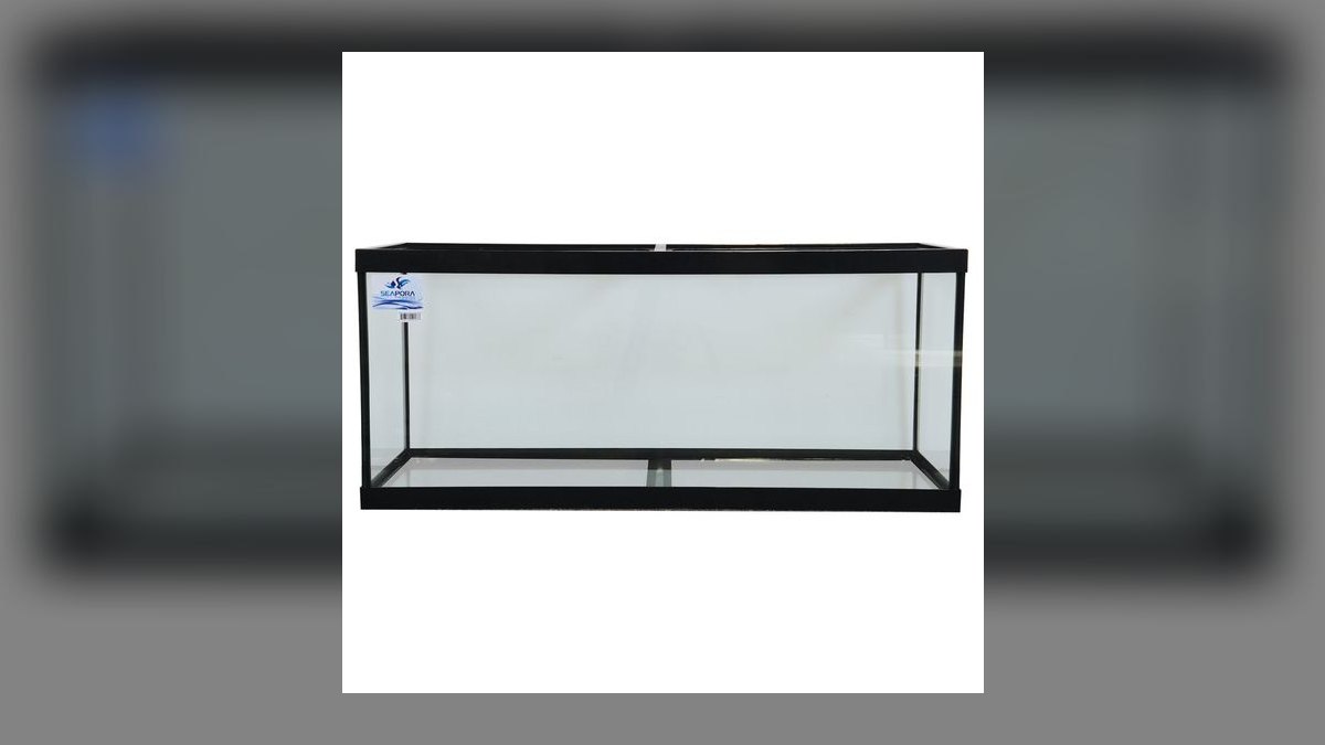 Top 10 Gallons of Water Per Fish in 2027 — figure 8