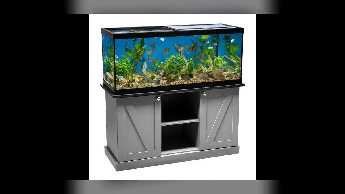 Top 10 how much water does a 75-gallon aquarium hold in 2027 — figure 2