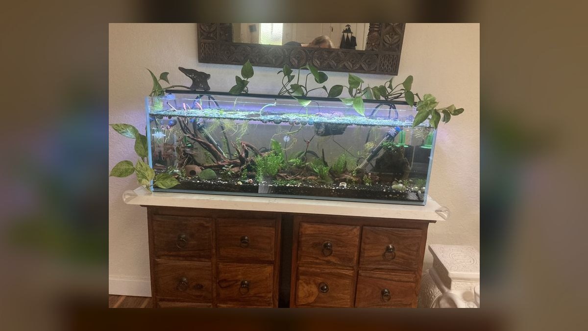 Top 10 how much water does a 75-gallon aquarium hold in 2027 — figure 5