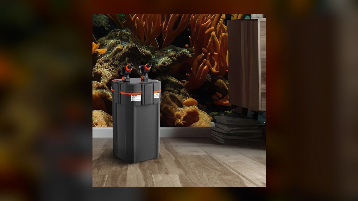 Top 10 how much water does a 75-gallon aquarium hold in 2027 — figure 9