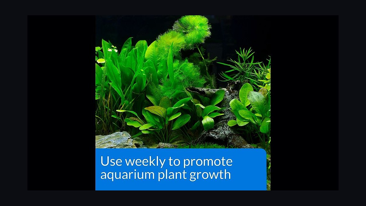 Top 10 Water Change Frequency Recommendations for Planted Tanks in 2027 — figure 4