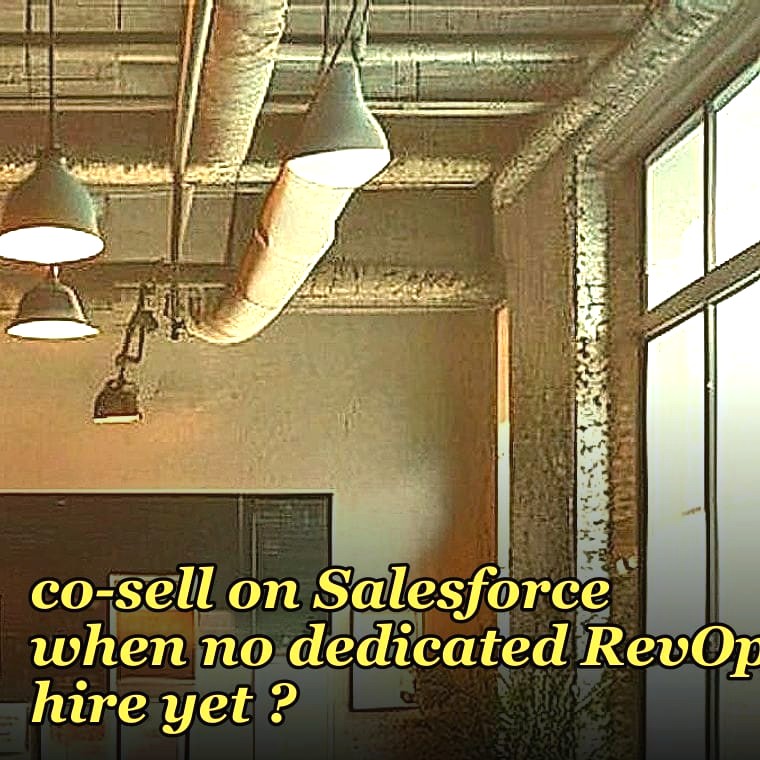What is the RevOps playbook for partner deal registration conflicts during channel co-sell on Salesforce when no dedicated RevOps hire yet ?