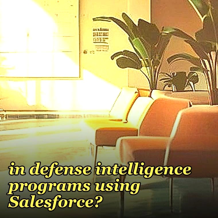 How do you qualify pipeline coverage when Palantir Foundry is the buyer-mandated platform in defense intelligence programs using Salesforce?