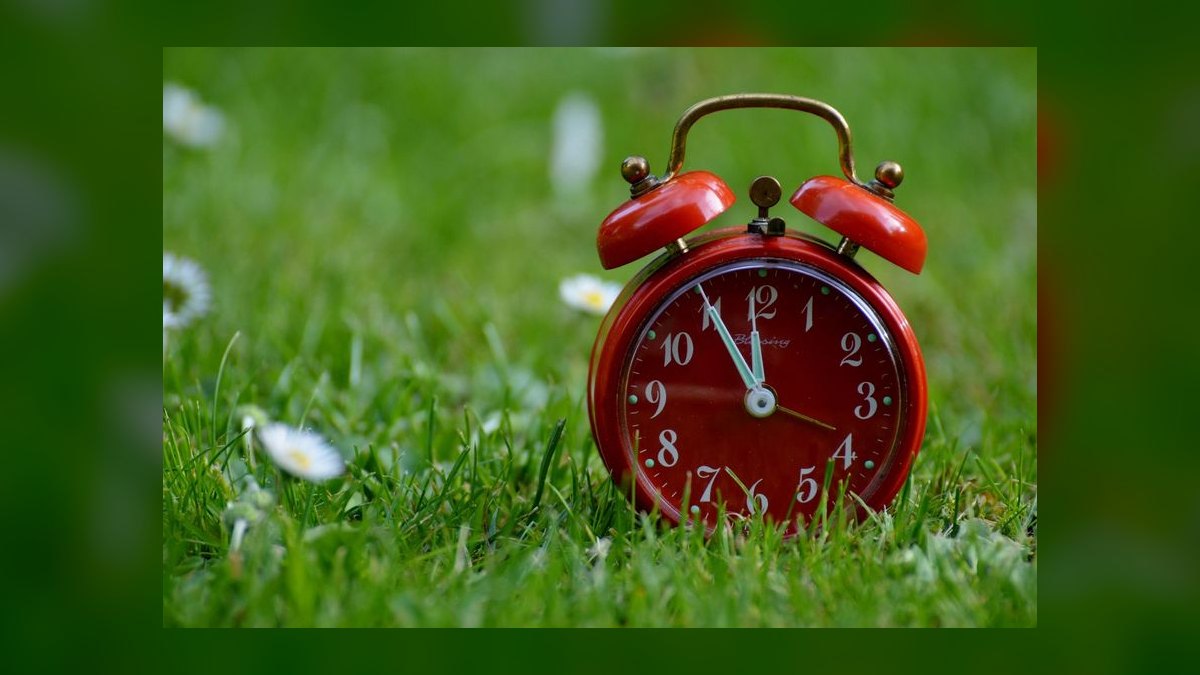 How do you decide if a part-time revenue leader is right for a Series A company when board wants a revenue turnaround — figure 9
