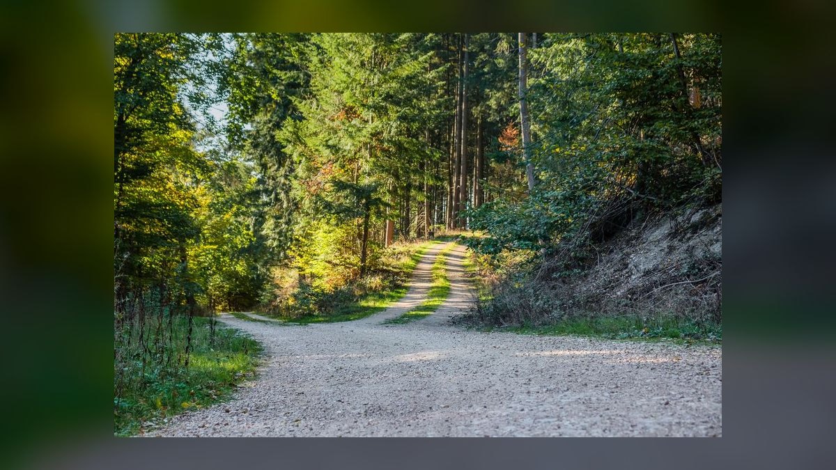 How do you decide if a CRO advisory before a full-time hire is right for a Series A company when board wants a revenue turnaround — figure 3
