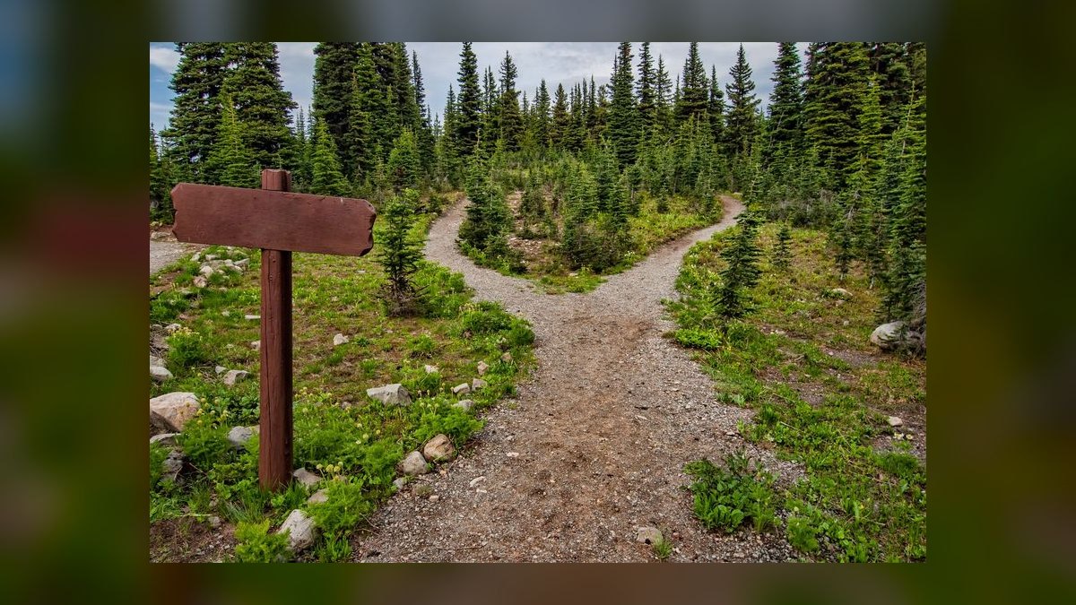 How do you decide if a CRO advisory before a full-time hire is right for a Series A company when preparing for fundraise in six months — figure 4
