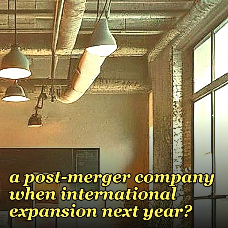 How do you decide if a interim CRO is right for a post-merger company when international expansion next year?