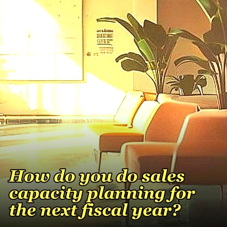 How do you do sales capacity planning for the next fiscal year?