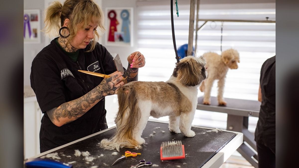 How many dogs per day can one groomer realistically handle, and what determines the ceiling — figure 1