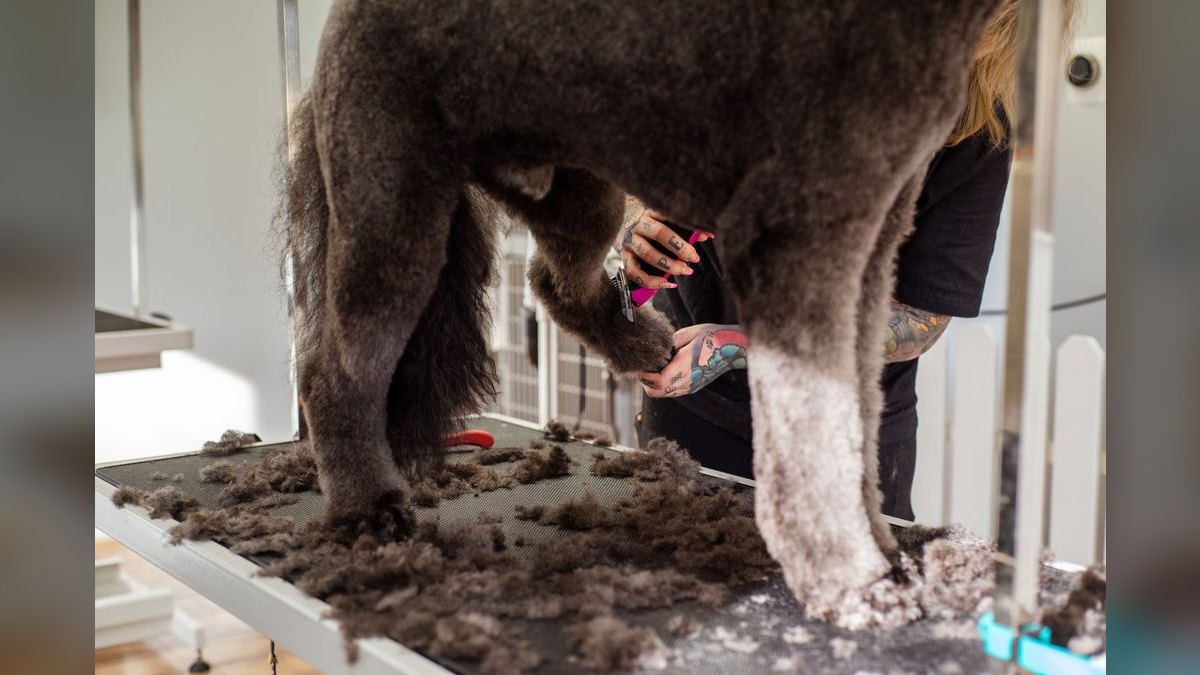 How many dogs per day can one groomer realistically handle, and what determines the ceiling — figure 3
