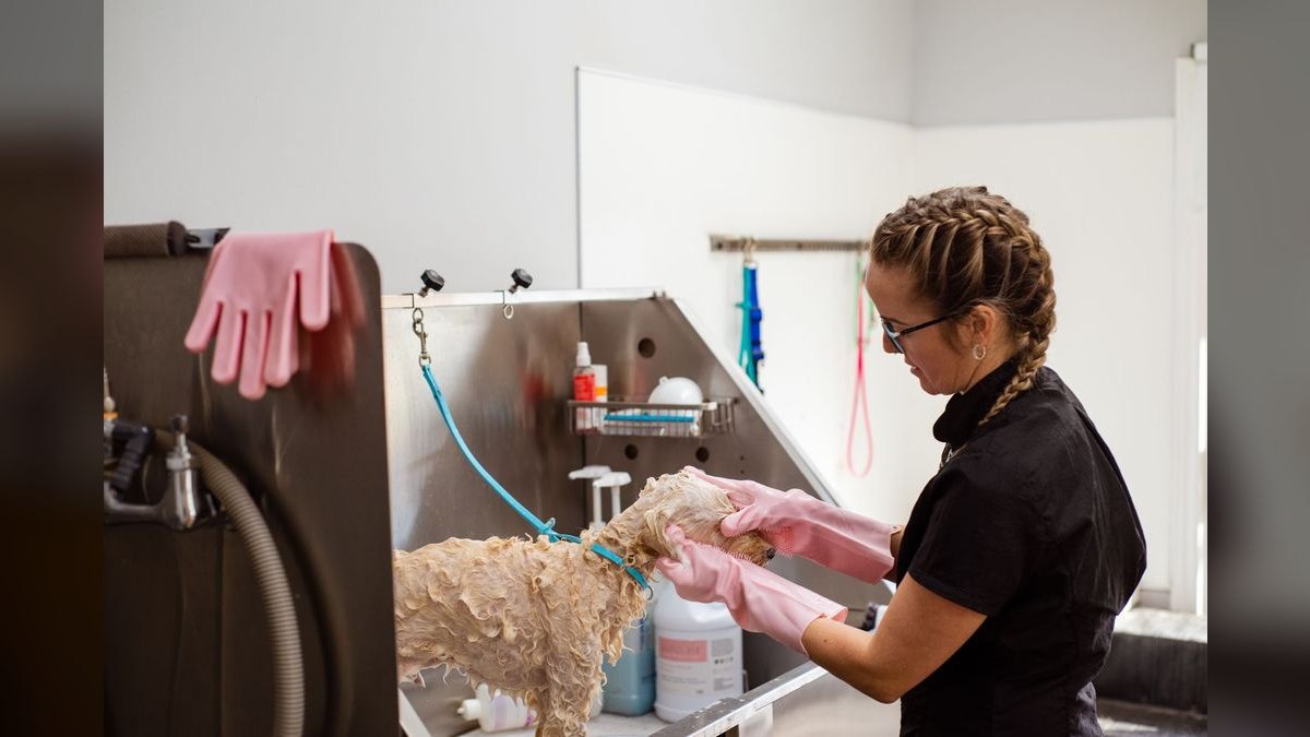 How many dogs per day can one groomer realistically handle, and what determines the ceiling — figure 4