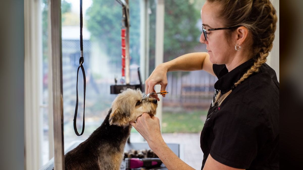 How many dogs per day can one groomer realistically handle, and what determines the ceiling — figure 5