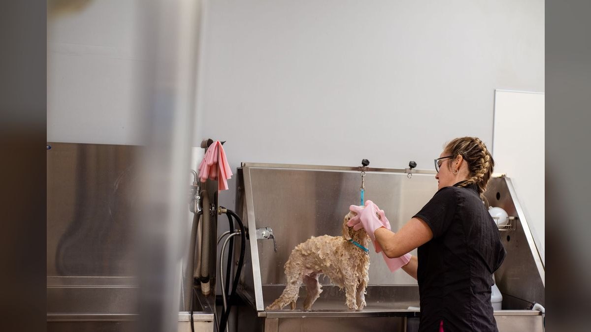 How many dogs per day can one groomer realistically handle, and what determines the ceiling?