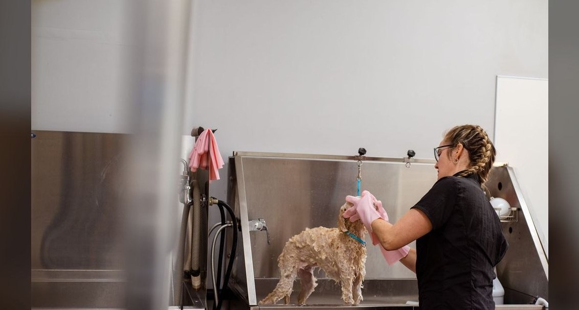 How many dogs per day can one groomer realistically handle, and what determines the ceiling?