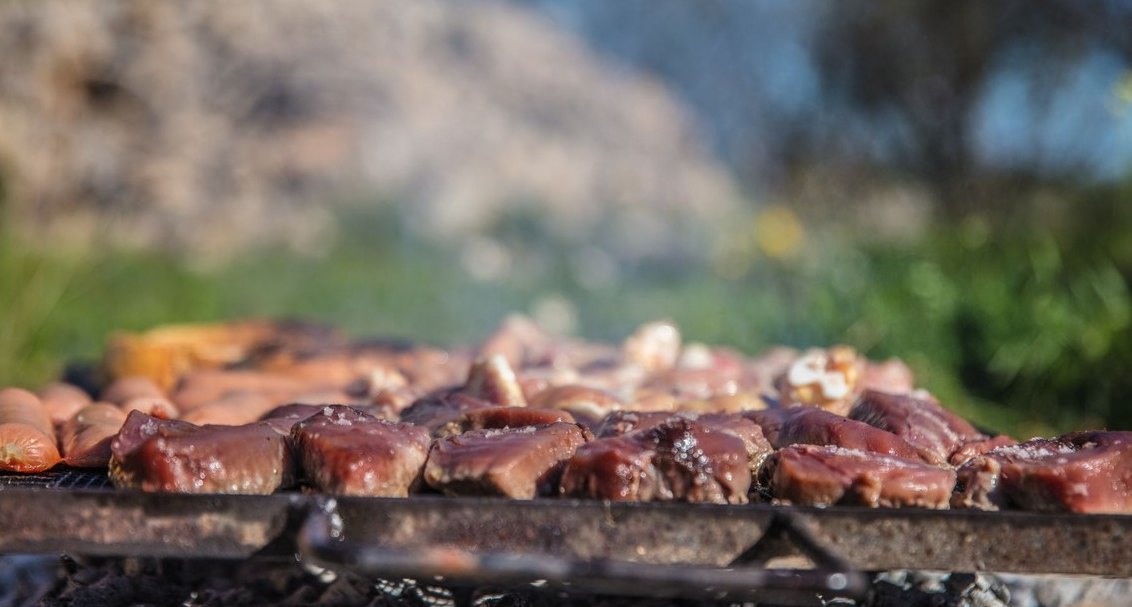 How'd you fix Beyond Meat's revenue issues in 2026?