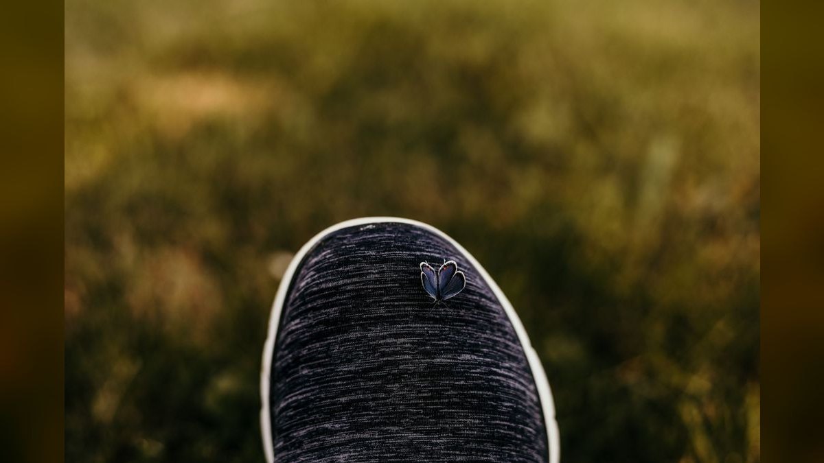 How'd you fix Allbirds' revenue issues in 2026 — figure 5