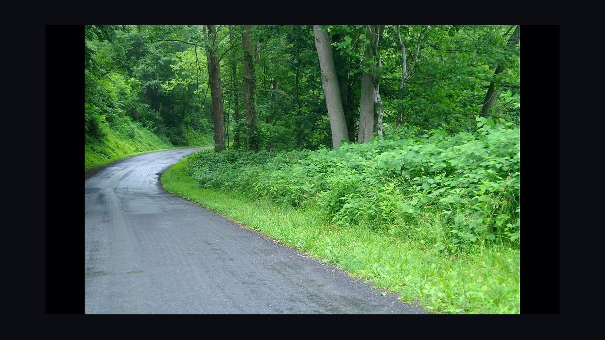 How do you comp customer success managers when CS owns expansion in 2027?