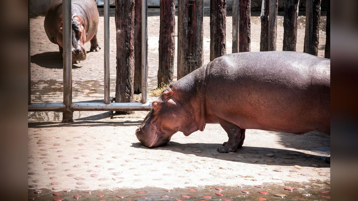 How'd you fix Hippo Insurance's revenue issues in 2026 — figure 3
