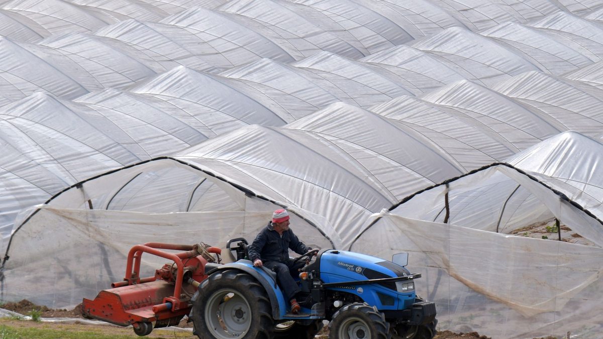 How'd you fix Greenhouse's revenue issues in 2026?