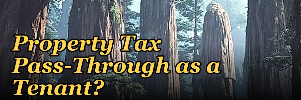 How Do I Challenge My Property Tax Pass-Through as a Tenant?