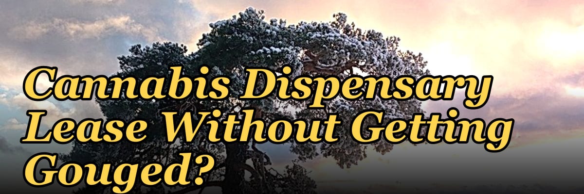 How Do I Negotiate a Cannabis Dispensary Lease Without Getting Gouged?