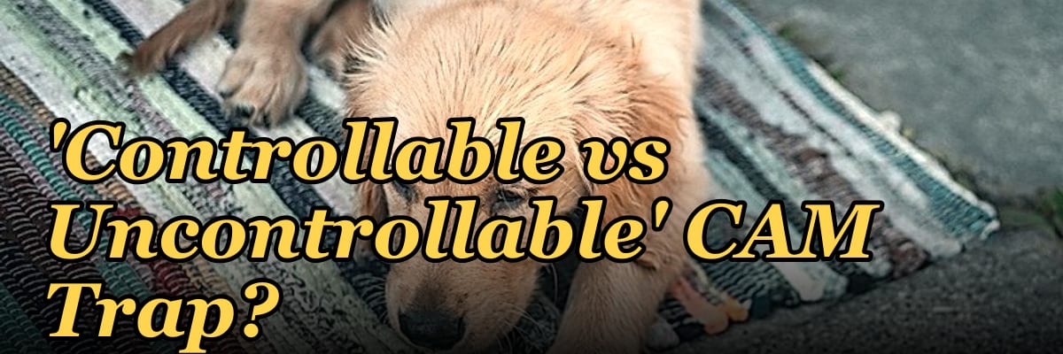 How Do I Avoid the 'Controllable vs Uncontrollable' CAM Trap?