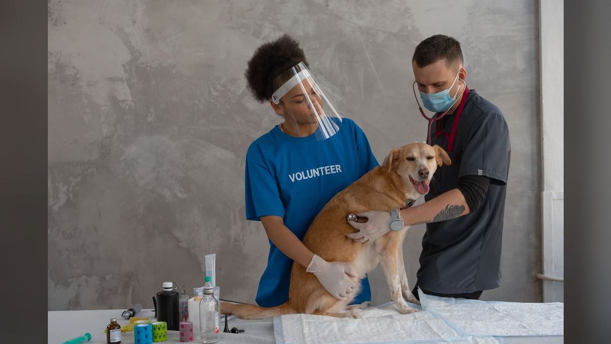 How Do I Budget a Veterinary Clinic Buildout — figure 3
